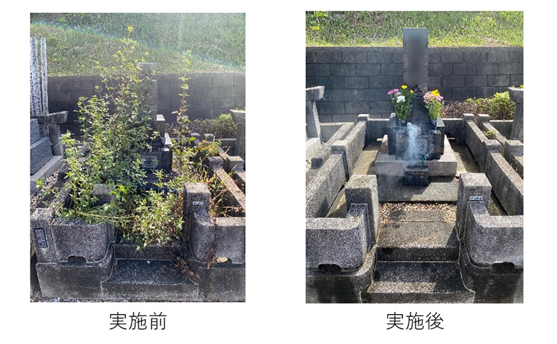 市川市霊園のお墓掃除代行事例 2025-09-22